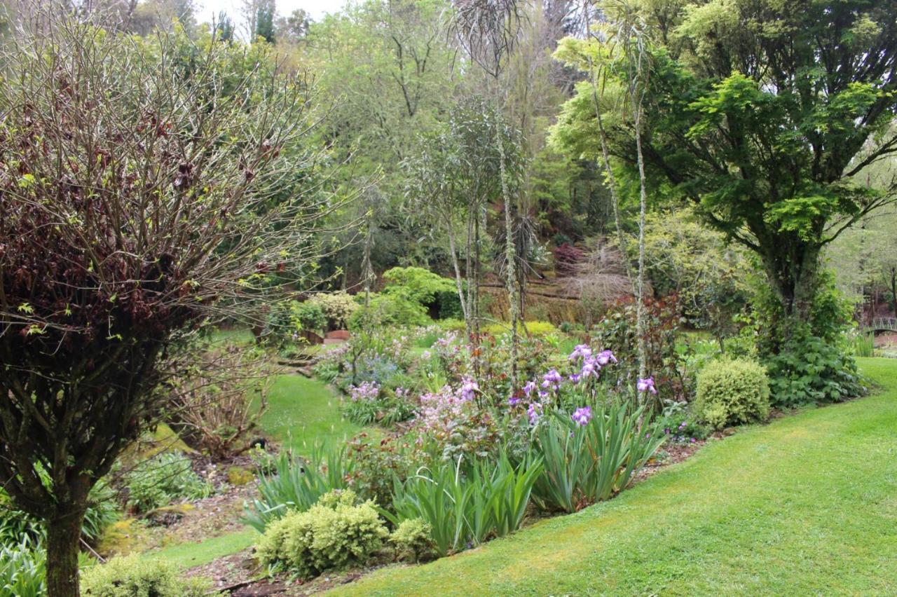 Aramatai Gardens Bed and Breakfast Te Kuiti Εξωτερικό φωτογραφία